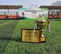 乐动体育官方网站-女足队队名